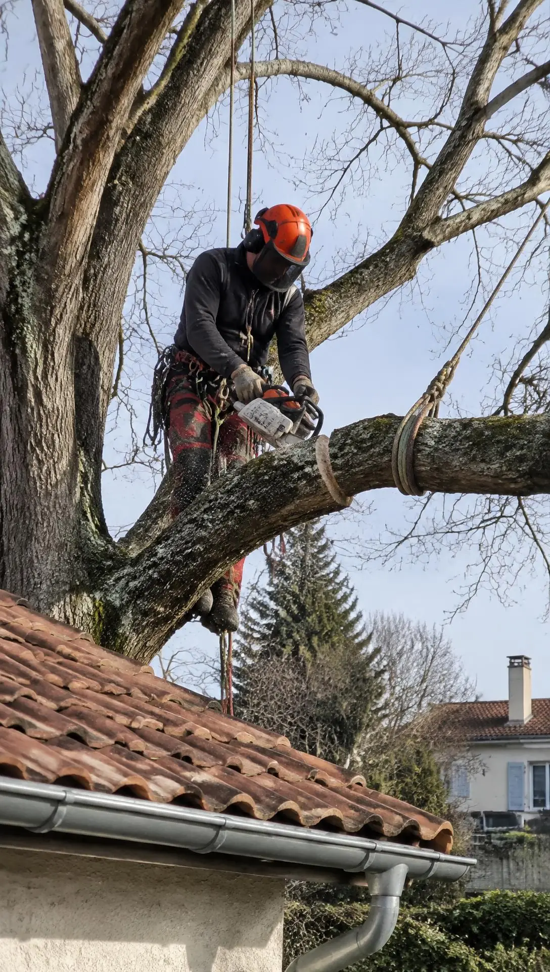 Élagueur casqué et encordé, assis sur une grosse branche au-dessus d’un toit de tuiles, tronçonneuse en main ; la branche est tenue par une corde.