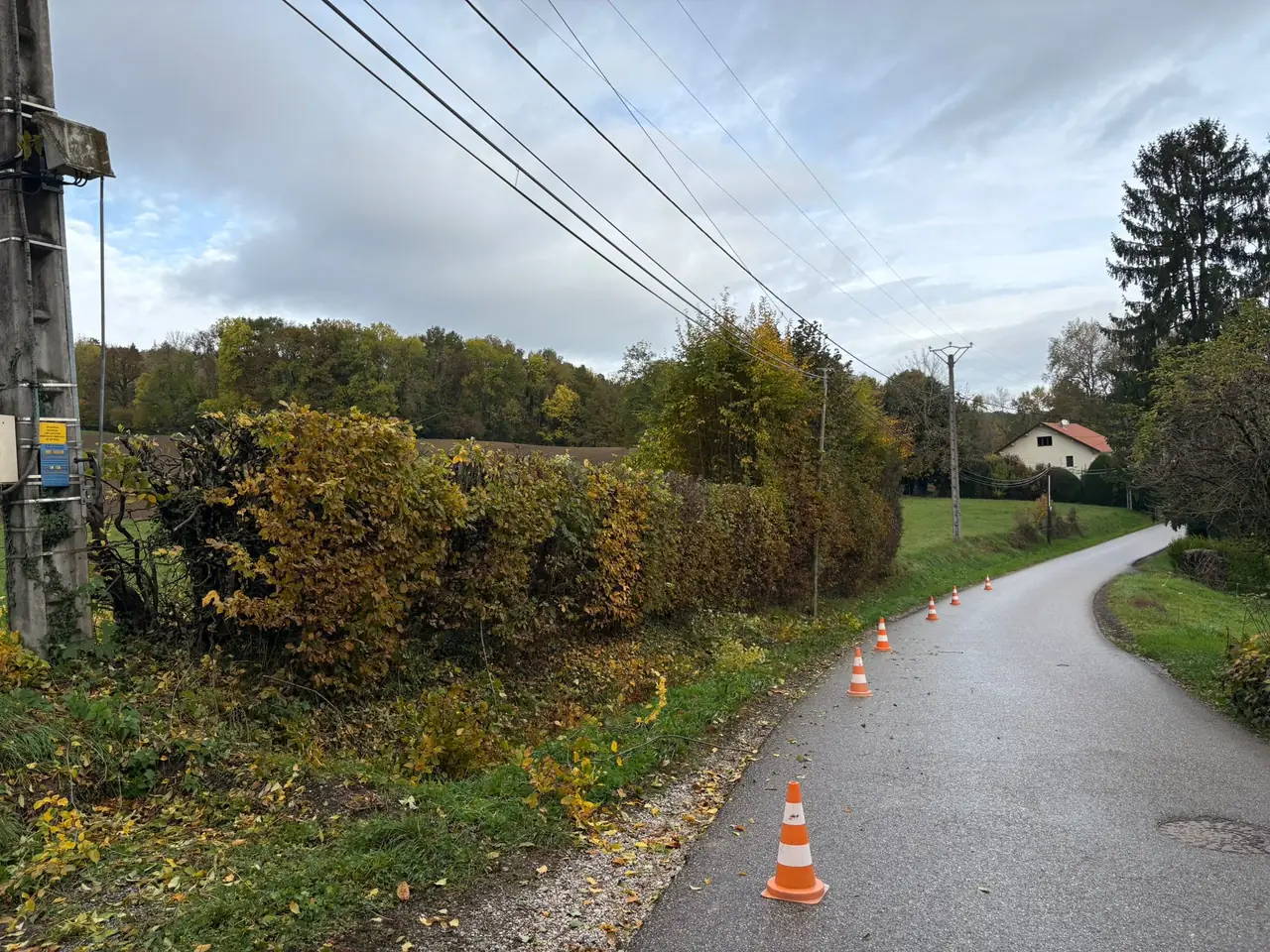 Haie rabattue sous les câbles électriques sur la portion traitée, cônes de signalisation encore en place sur la route.