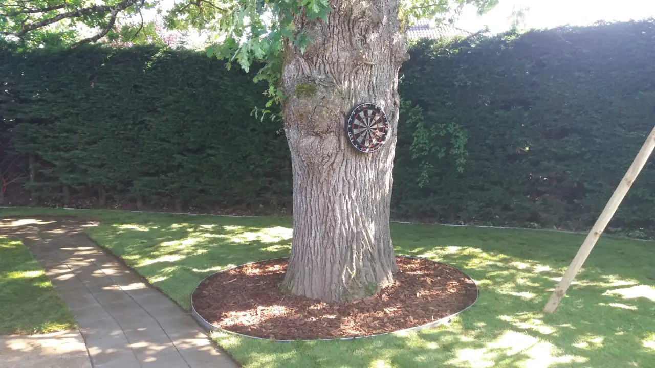 Pied d’arbre paillé d’écorces, cerclé d’une bordure métallique.